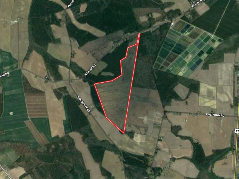 166 Acres of Hunting and Timber Lan : Vanceboro : Craven County : North Carolina