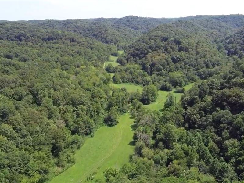 Kentucky Land for Sale : Albany : Clinton County : Kentucky