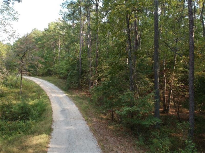 homes for sale in south carolina with 5 acres