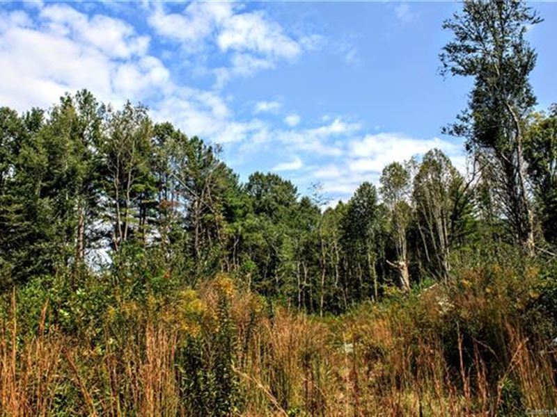 Layered Mountain Views in Penrose, Farm for Sale in North Carolina ...