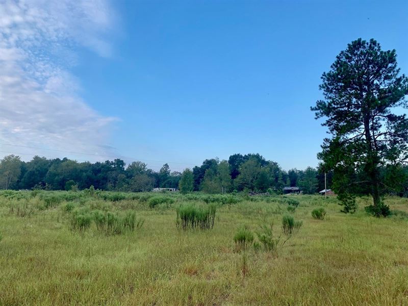 Land Gilchrist County, Branford, Farm for Sale in Florida, 218018