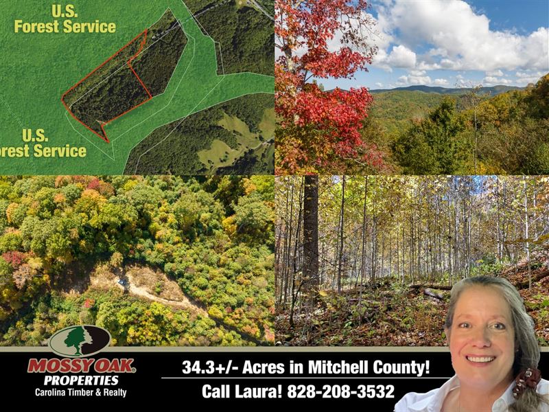 34.38 Acres with Big Views : Bakersville : Mitchell County : North Carolina