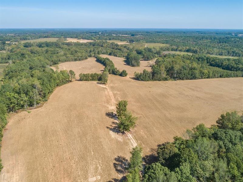 Farmland in Southern VA, Farm for Sale in Virginia, #218334 : FARMFLIP