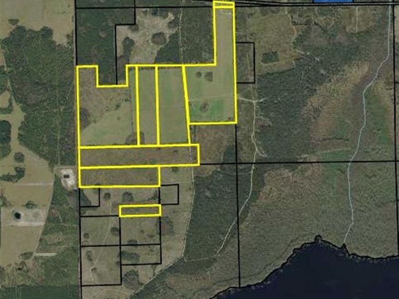 400+/ Acre Working Cattle Ranch Farm for Sale in Bunnell, Flagler County, Florida 218961