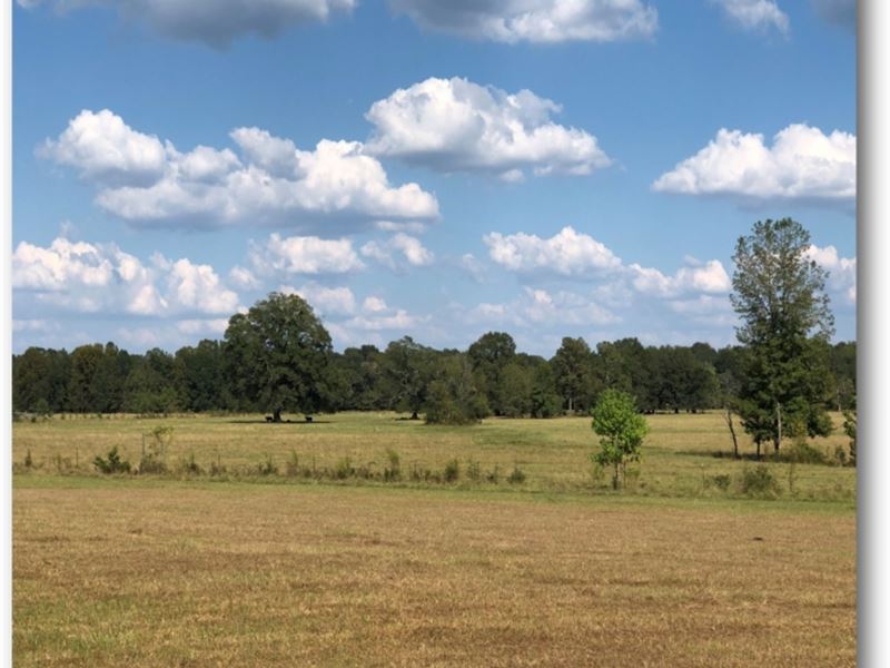 320 Acres in Hinds County in Utica, Farm for Sale in Mississippi ...