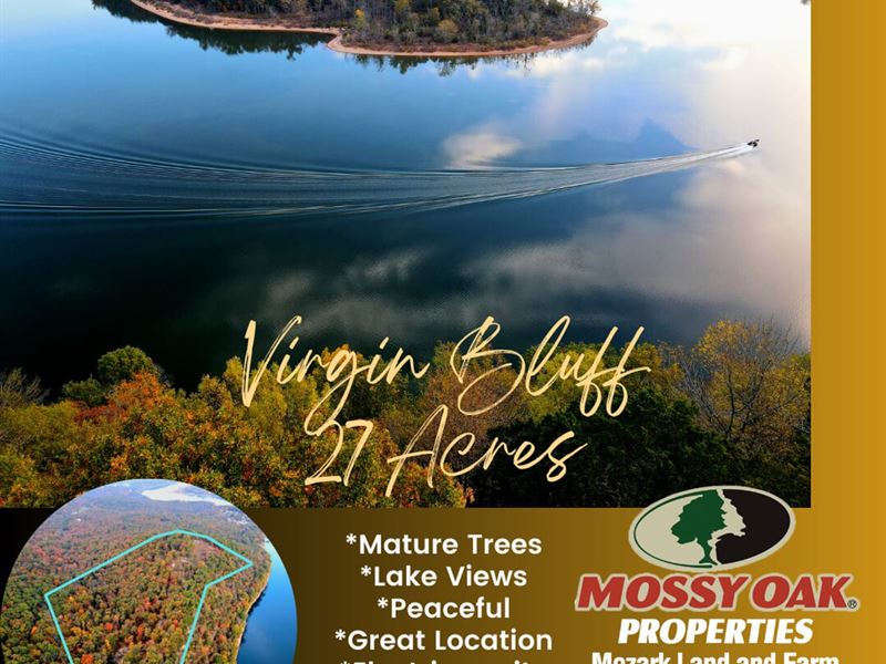 Virgin Bluff Lake Property : Galena : Stone County : Missouri