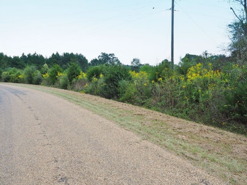 7 Acres Land for Sale, Home Site, Farm for Sale in Mississippi, 220031