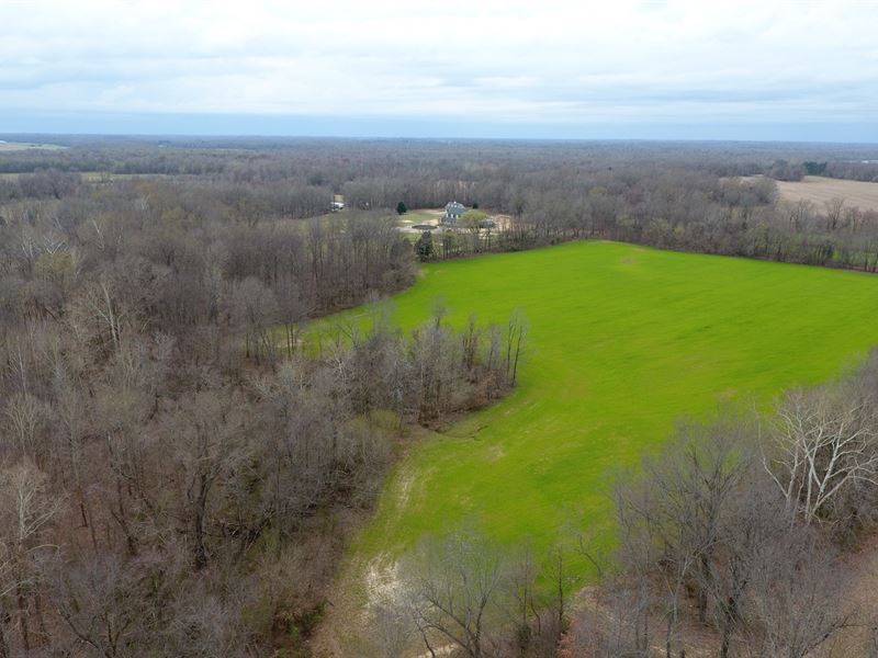 Farm Jackson Tn, Crops, Timber, Farm for Sale in Tennessee, #220354 ...