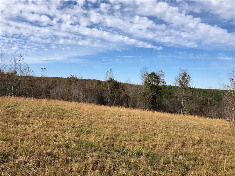 homes for sale in lewis county tn