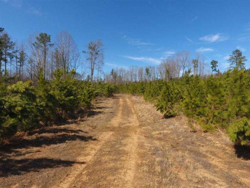 Recreational / Timber Tract : Farm for Sale by Owner in Blackstone ...