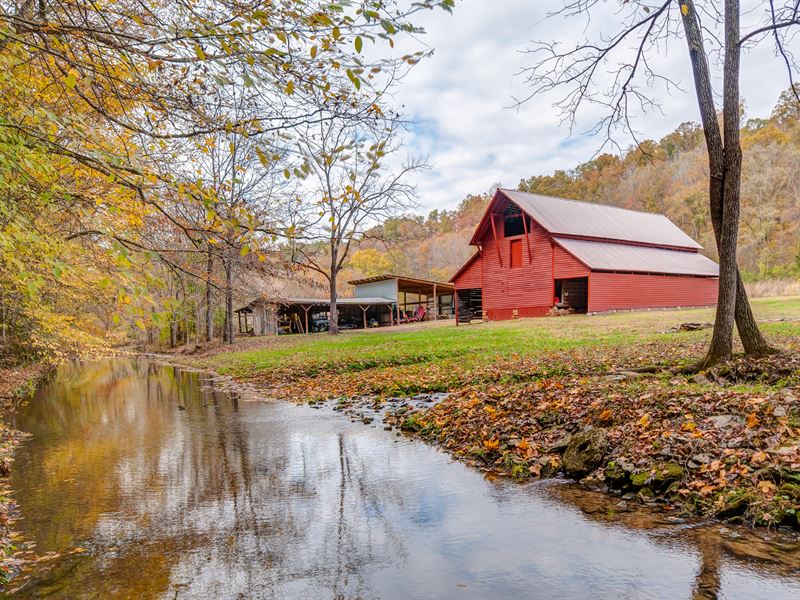 240 Ac Farm in Franklin TN, Farm for Sale in Tennessee, 222485 FARMFLIP