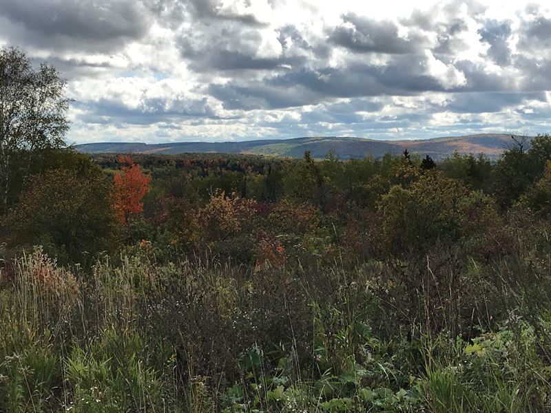 Recreational Farm Land Aroostook : Van Buren : Aroostook County : Maine