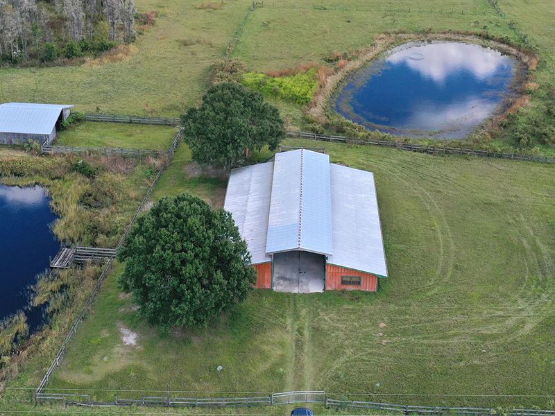 Lane Ranch : Polk City : Polk County : Florida