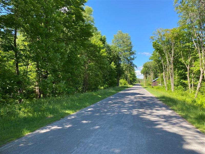 Borders Chateaugay State Forest, Farm For Sale In New York, #224594 