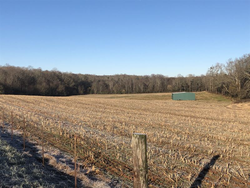 townville-farm-crop-land-2-farm-for-sale-in-south-carolina-225642