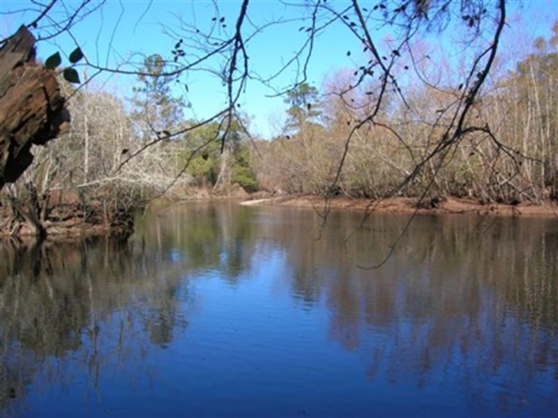 71 Acres on Big Satilla River, Farm for Sale in Georgia, #227088 : FARMFLIP