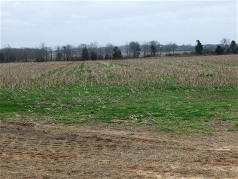 Wendell Farm, Allenville, 1115 ac : Faunsdale : Marengo County : Alabama