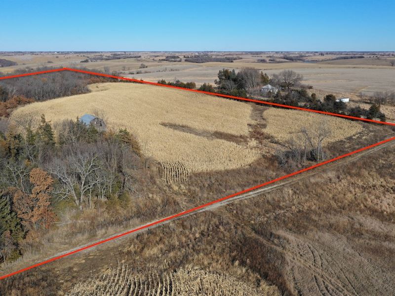 Hunting Property In Southern Iowa Farm For Sale In Mount Ayr Ringgold County Iowa