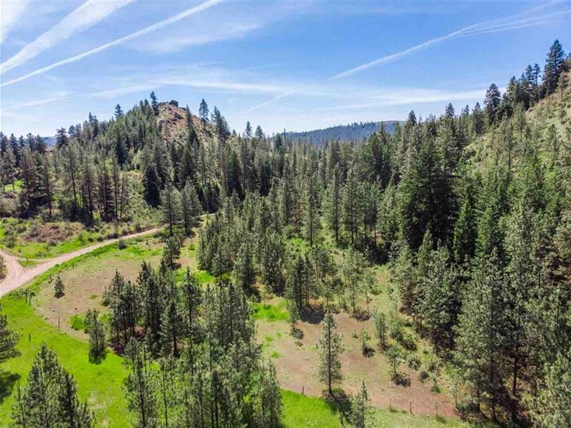 20 Acres Davenport WA & Ready to : Davenport : Lincoln County : Washington