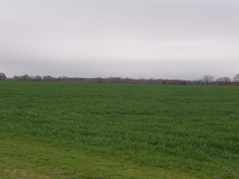 1060 Acres Of Prime Ranch Land : Coleman : Atoka County : Oklahoma