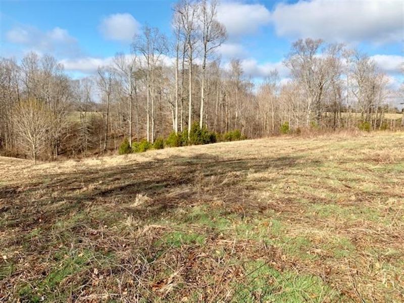 Blackburn Fork Rd, Cookeville TN : Farm for Sale in Cookeville, Putnam ...