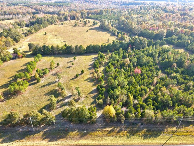 45 Acre Farm in Rose Bud, AR : Rose Bud : White County : Arkansas