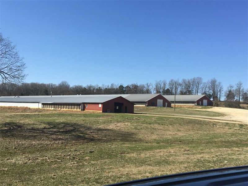 3 House Peco Poultry Farm, 55 : Strawberry : Sharp County : Arkansas