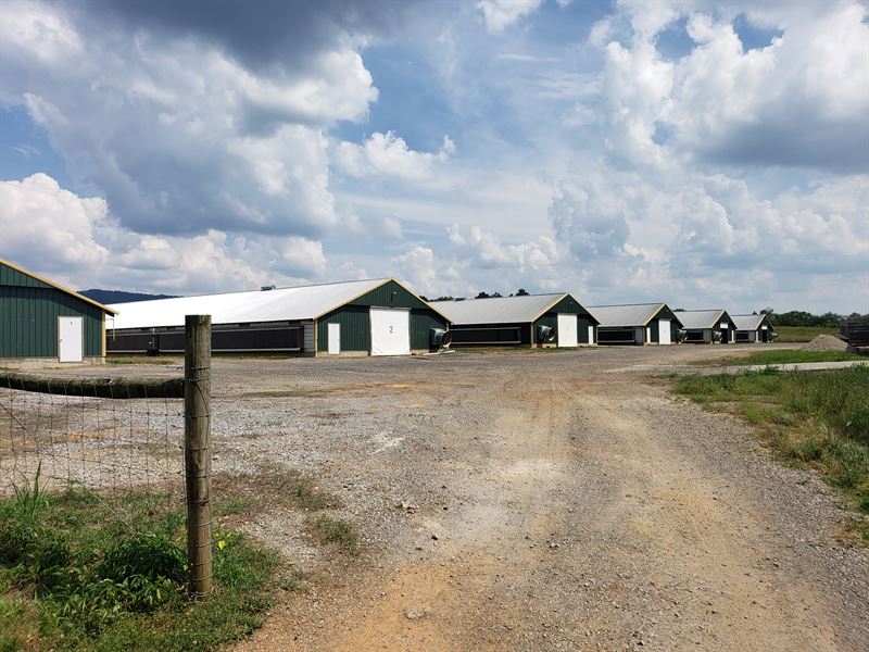 Great 6 House Broiler Poultry Farm, Farm for Sale in 231992