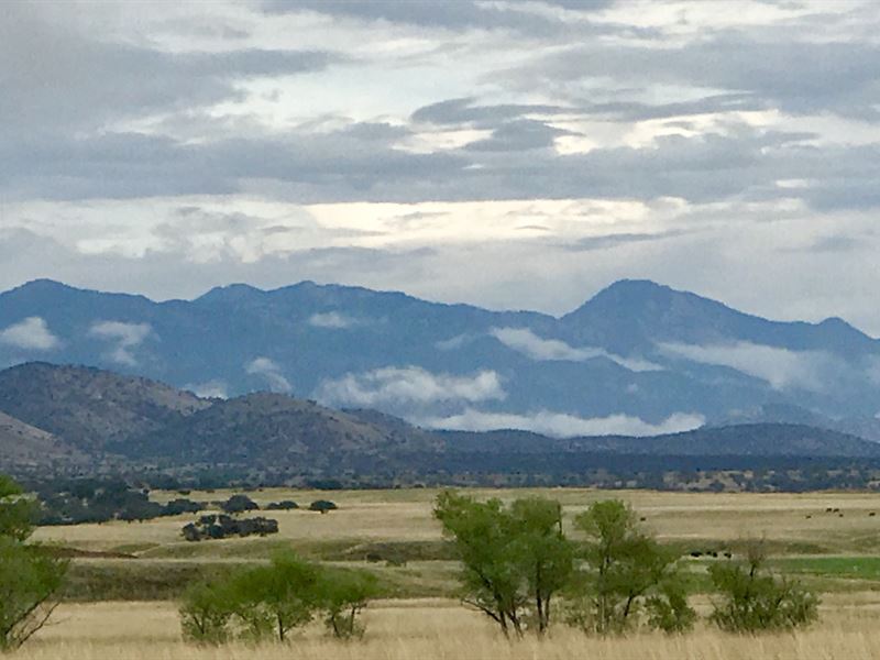 Lazy J2 Ranch : Patagonia : Santa Cruz County : Arizona