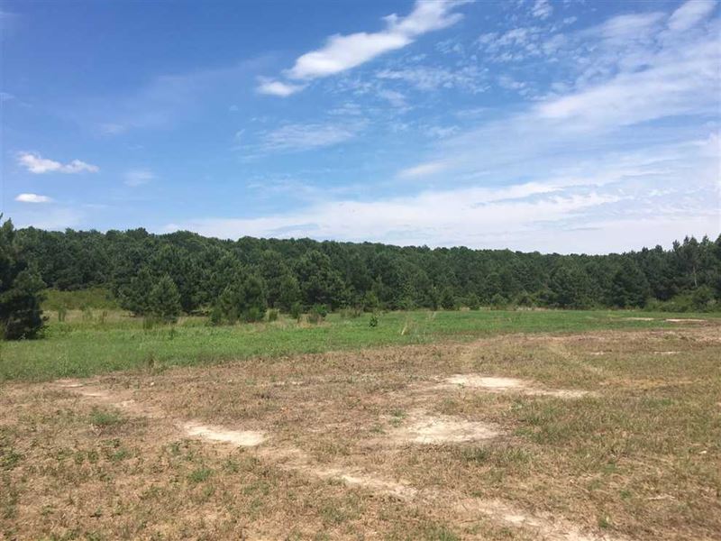 23 Acres in Lumber Bridge, Robe : Lumber Bridge : Robeson County : North Carolina