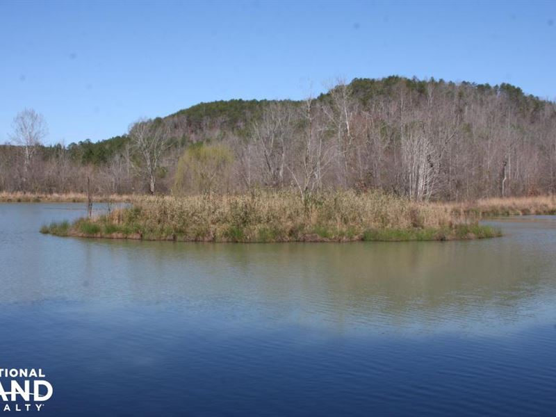 Townley Alabama Hunting And Timber Farm for Sale in Carbon Hill