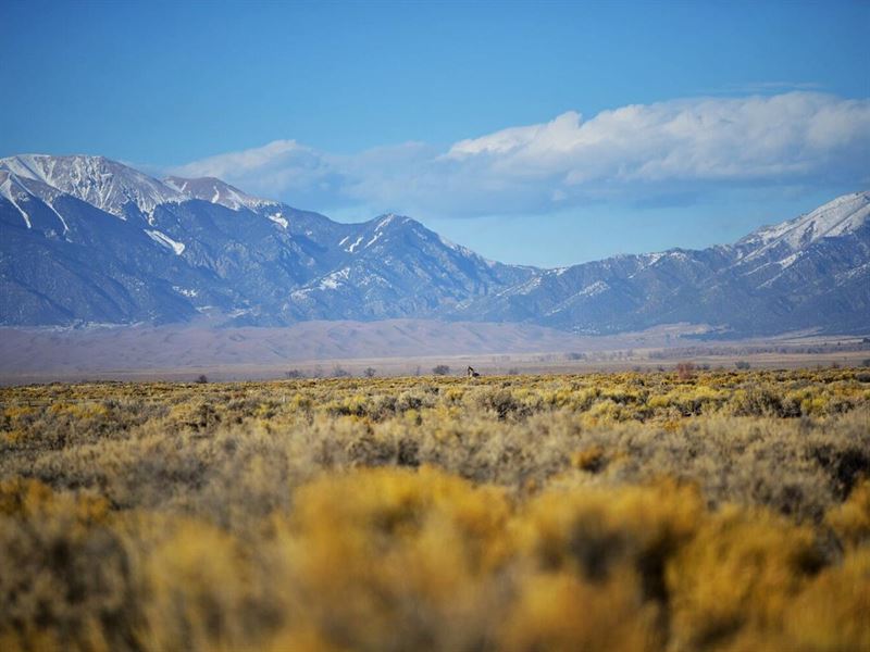 MT Blanca & Sand Dunes Views : Farm for Sale by Owner in Alamosa ...