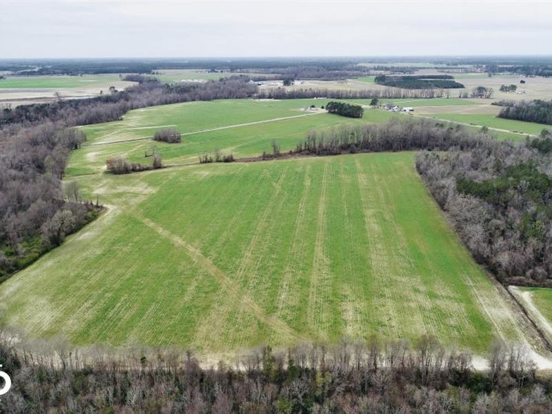 Suttontown Farm : Mount Olive : Sampson County : North Carolina