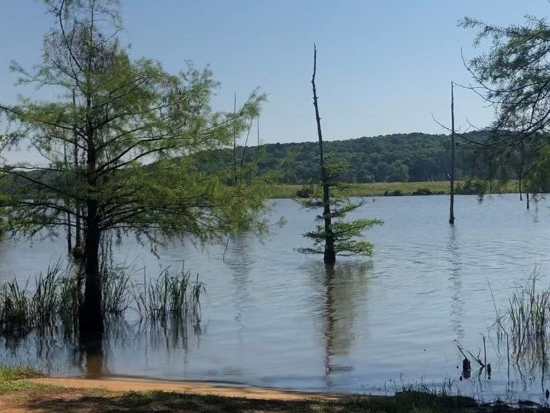 Land for Sale on Lake D'arbonne : Downsville : Union Parish : Louisiana