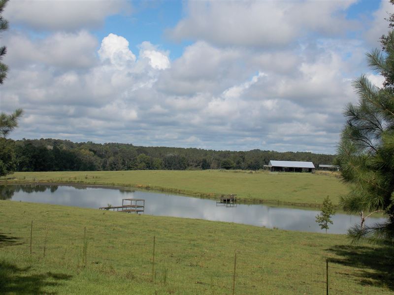 16 +/ AC Pine Park Rd Cairo, GA, Farm for Sale in 234600