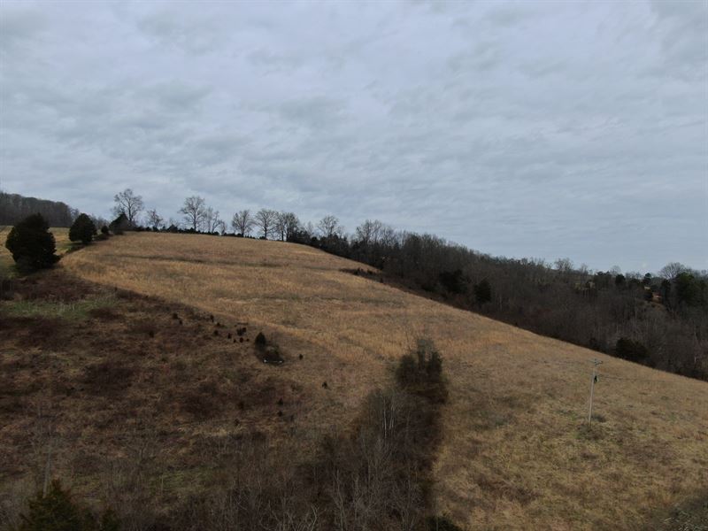 East Tennessee Land Hancock County, Farm for Sale in Tennessee, 235117