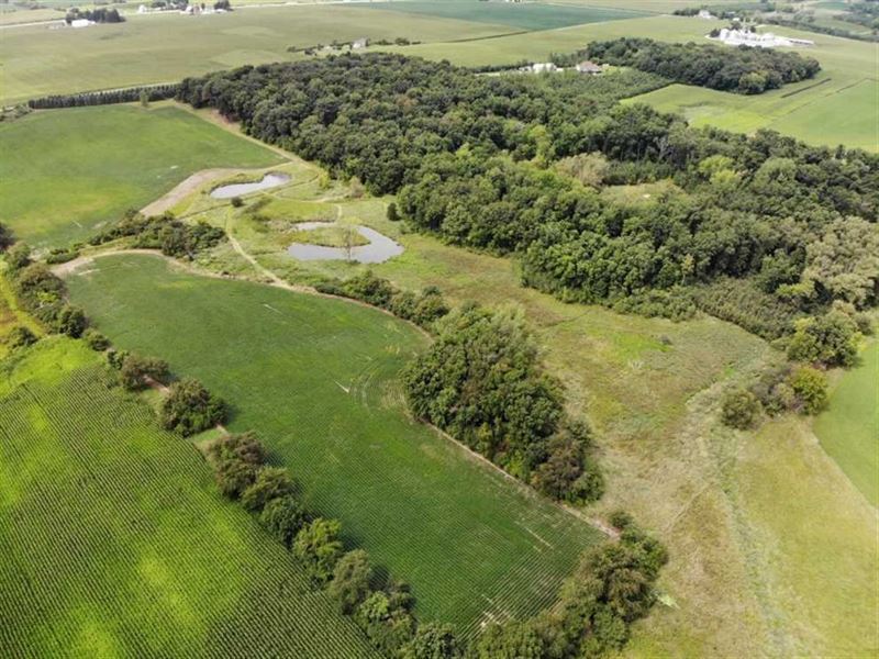 55 Acres of Buildable Hunting Land : Farm for Sale in Beaver Dam, Dodge