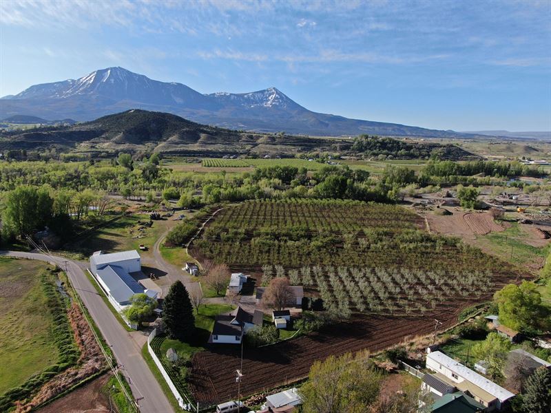 Paonia CO Orchard Farm Market Home : Paonia : Delta County : Colorado