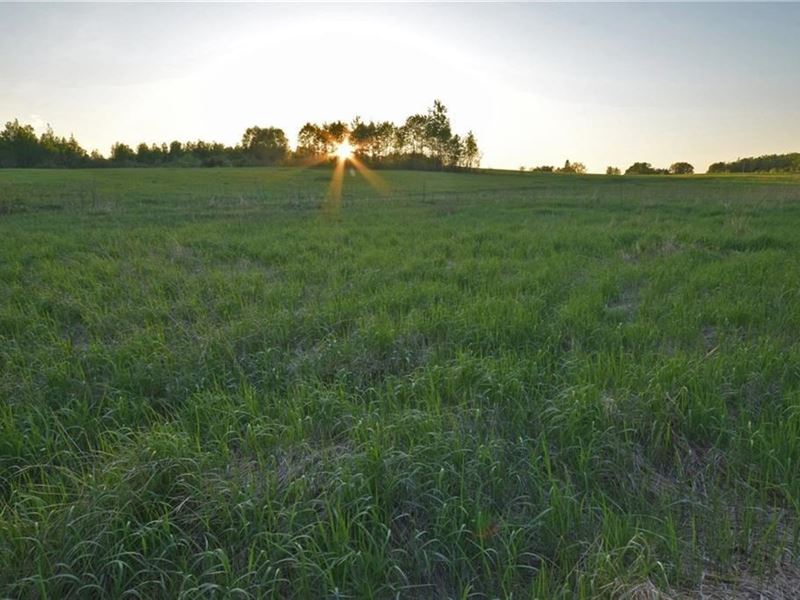 Farm Land in Northern Maine : Presque Isle : Aroostook County : Maine