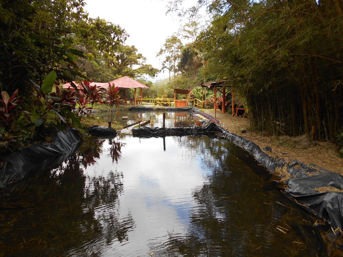 Farm Trout 3 Cabins House River Farm For Sale In Cachi Costa Rica 236923 Farmflip