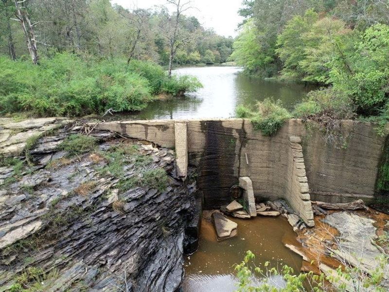 77.4 Acres on Hallmark Creek : Trafford : Blount County : Alabama