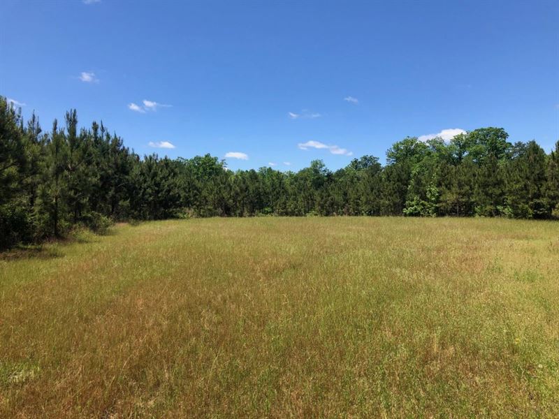 129 Acres in Butler County : Georgiana : Butler County : Alabama