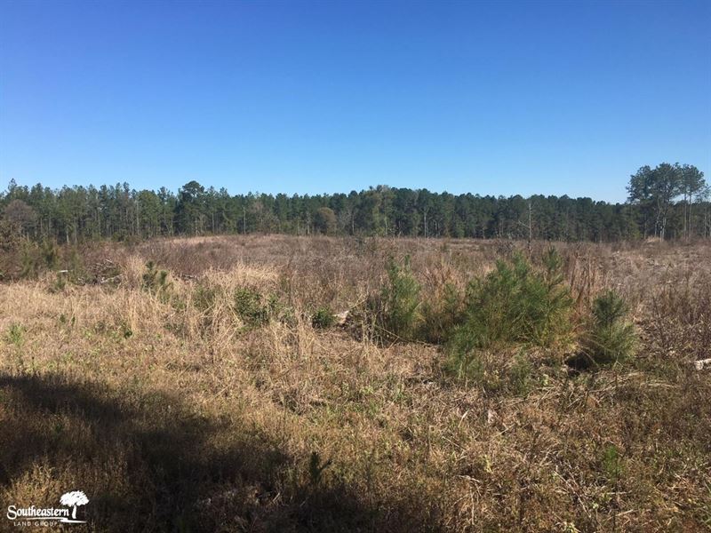 117 Acres Montgomery Co : Ramer : Montgomery County : Alabama