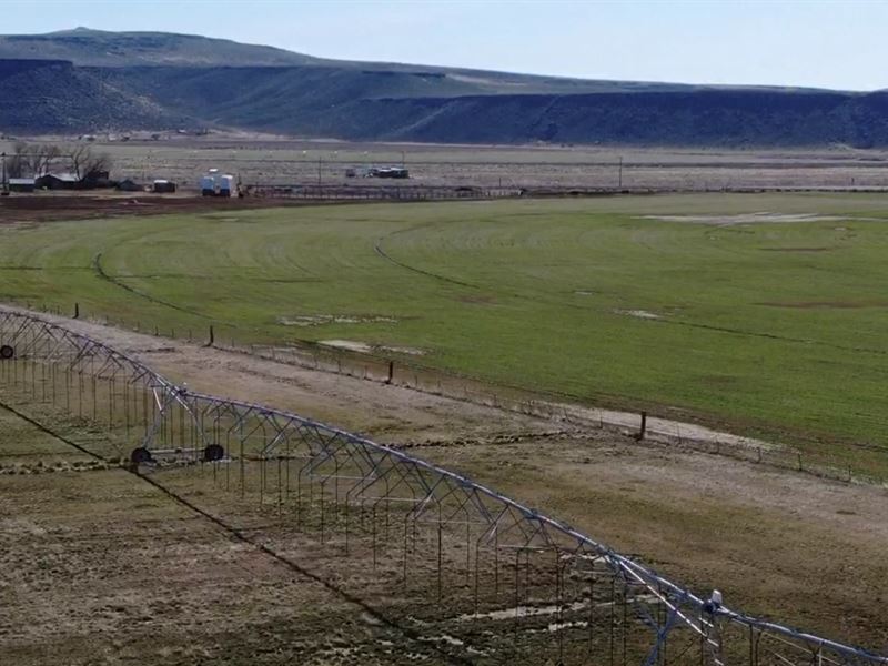 Eastern Oregon Farm, New Princeton : Burns : Harney County : Oregon