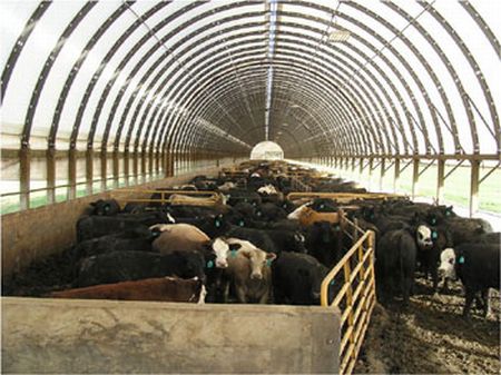 Lg Indoor Cattle Feeding Facility, Farm for Sale in Ohio, #23879 : FARMFLIP