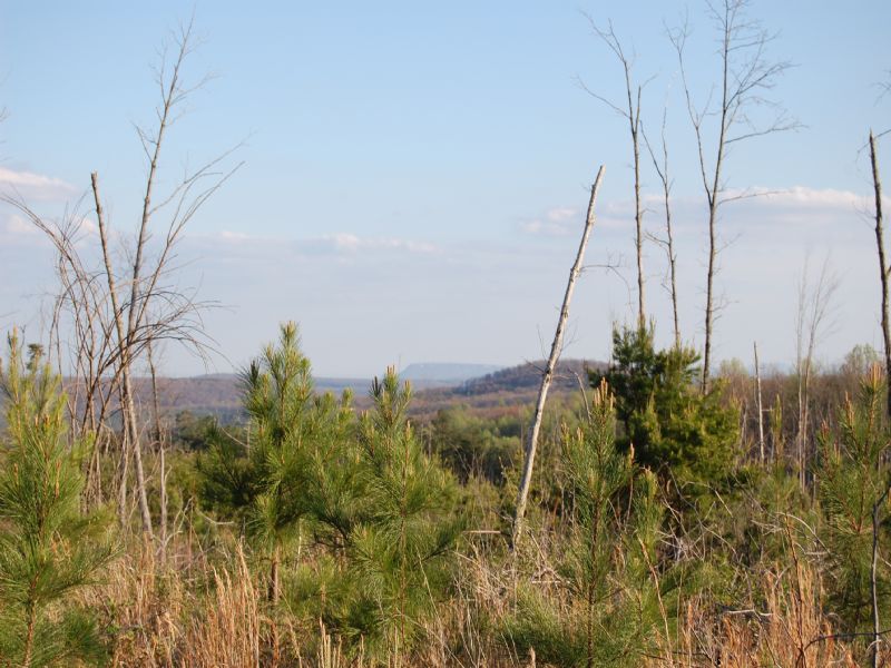 Walden Farms - Lot 2a : Signal Mountain : Sequatchie County : Tennessee