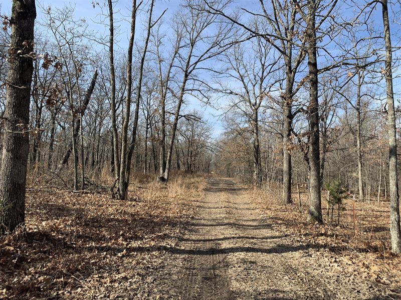 122 Acres Camden County Missouri : Climax Springs : Camden County : Missouri