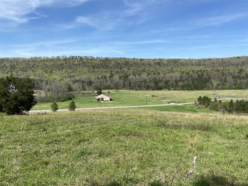 181 +/ Acres, Blount Co, Oneonta, Farm for Sale in Alabama, 239892