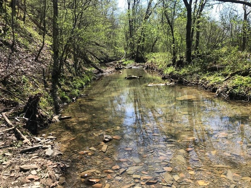 East Tennessee Hunting Land Bybee : Bybee : Cocke County : Tennessee