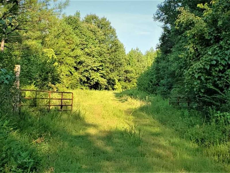 137 Acres Rolling Hills, Gated : Stantonville : McNairy County : Tennessee